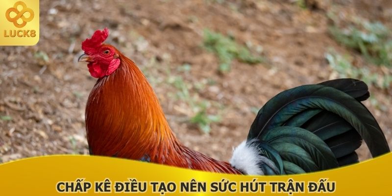 chap-ke-dieu-tao-nen-suc-hut-va-tinh-canh-tranh-moi-tran-dau