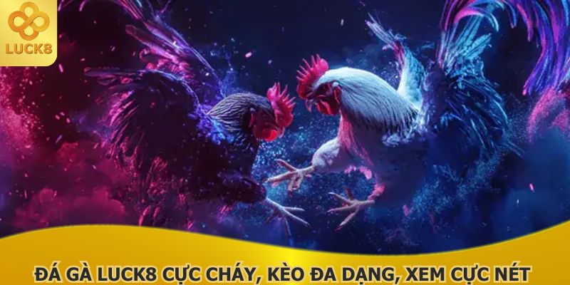 da-ga-luck8-cuc-chay-keo-da-dang-xem-cuc-net