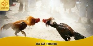 da-ga-thomo