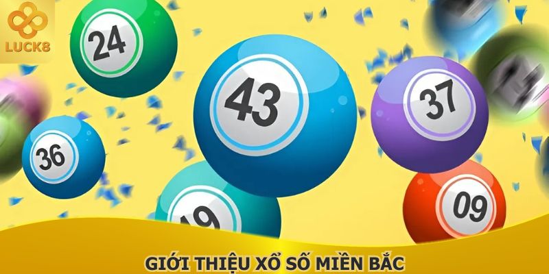 dong-xo-so-mien-bac-truyen-thong-nhung-hap-dan