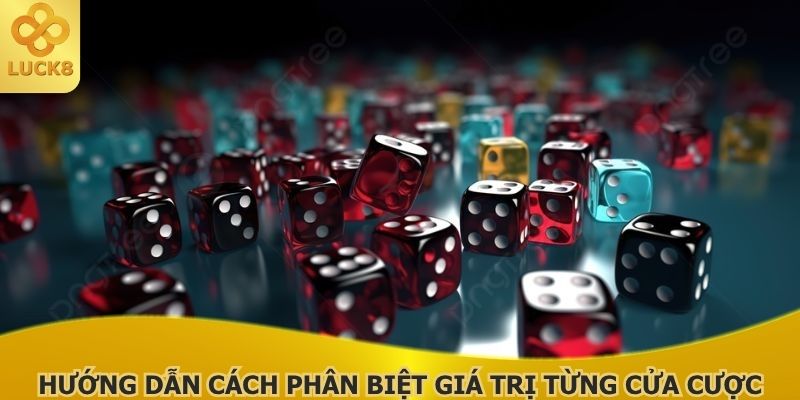 huong-dan-cach-phan-biet-gia-tri-tung-cua-cuoc