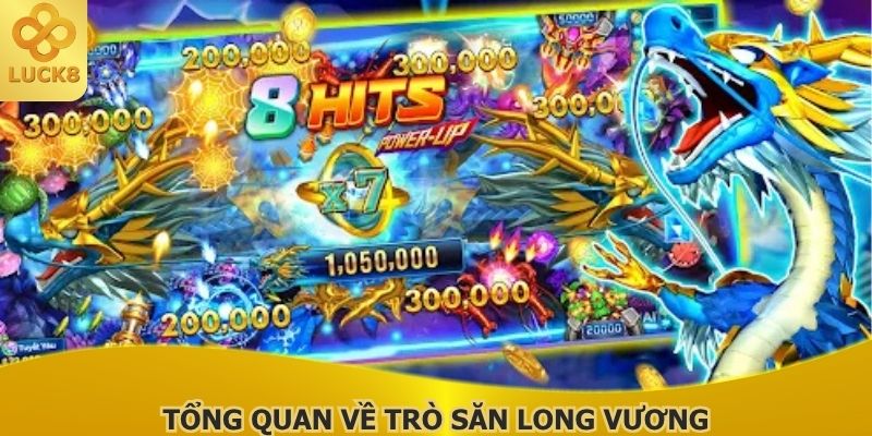 tong-quan-ve-tro-san-long-vuong